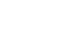 OmniCyber Security