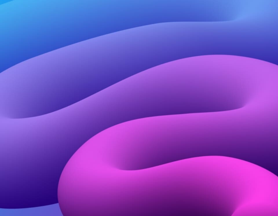 purple sausage shapes