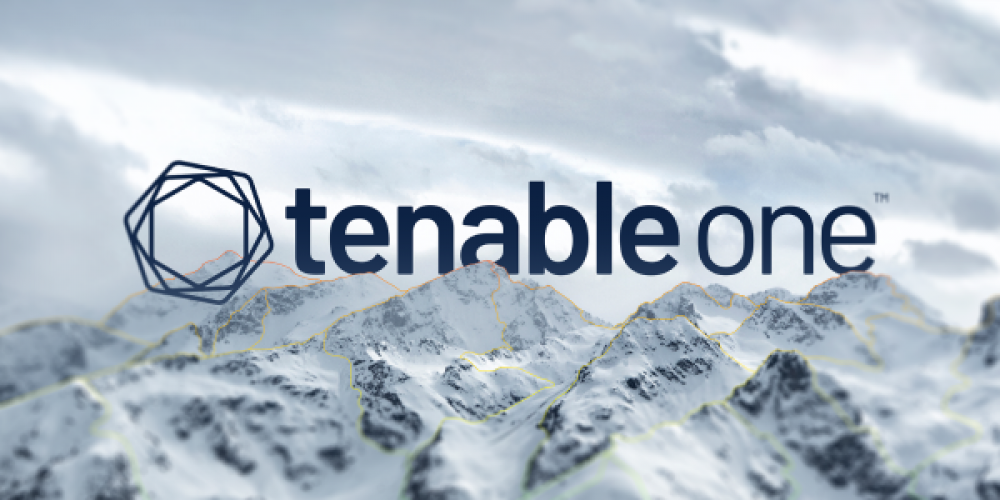 Tenable One